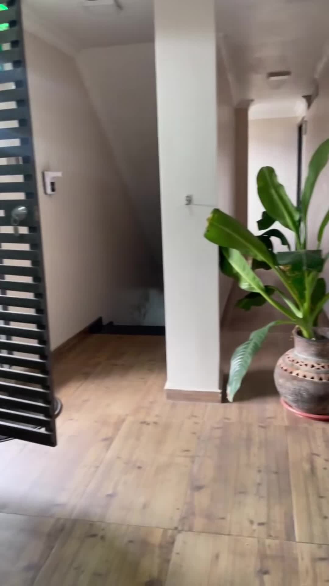 Property video