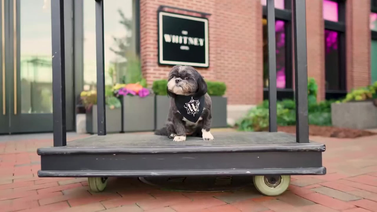 Property video