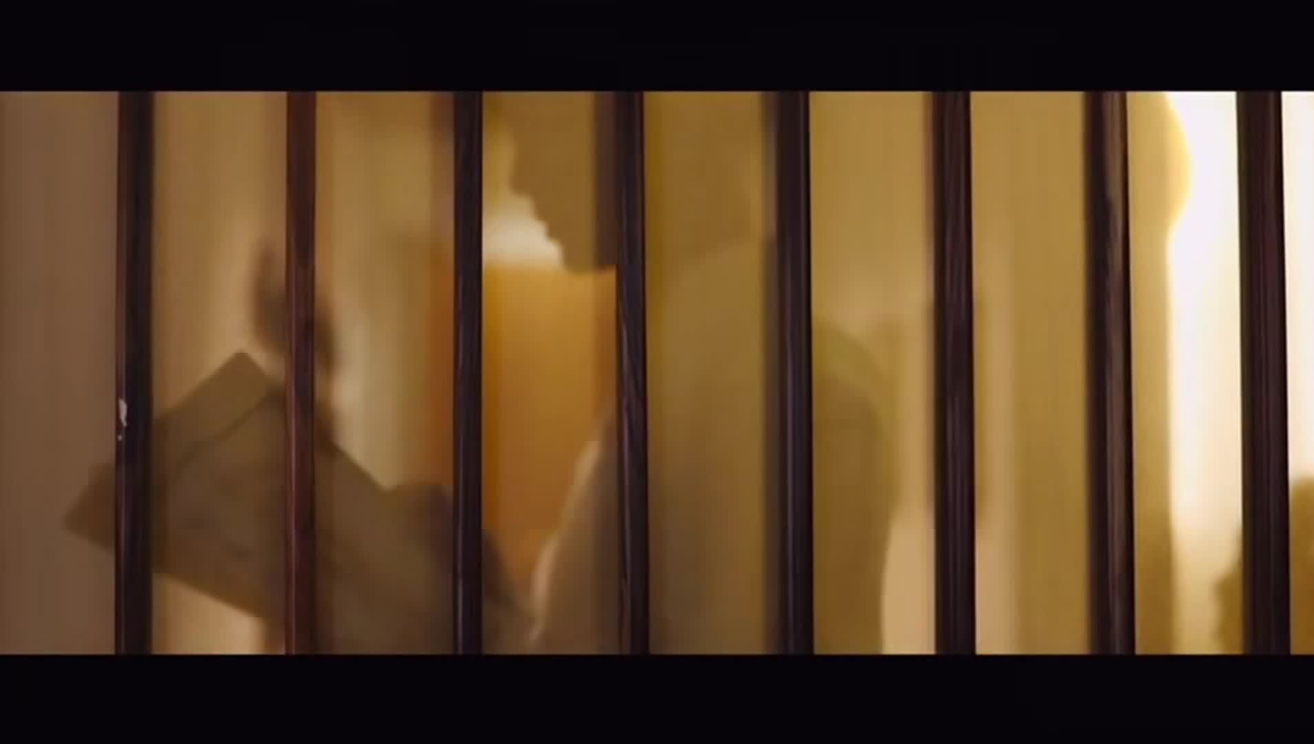 Video realizado por la propiedad