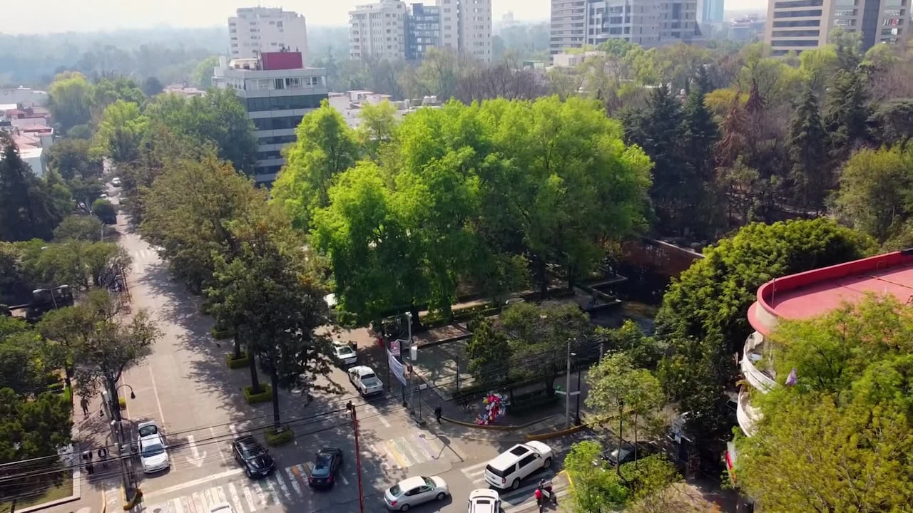 Property video