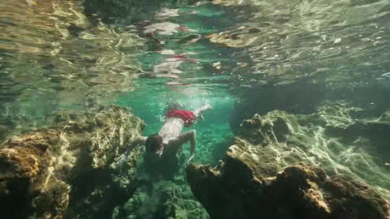 Video realizado por la propiedad