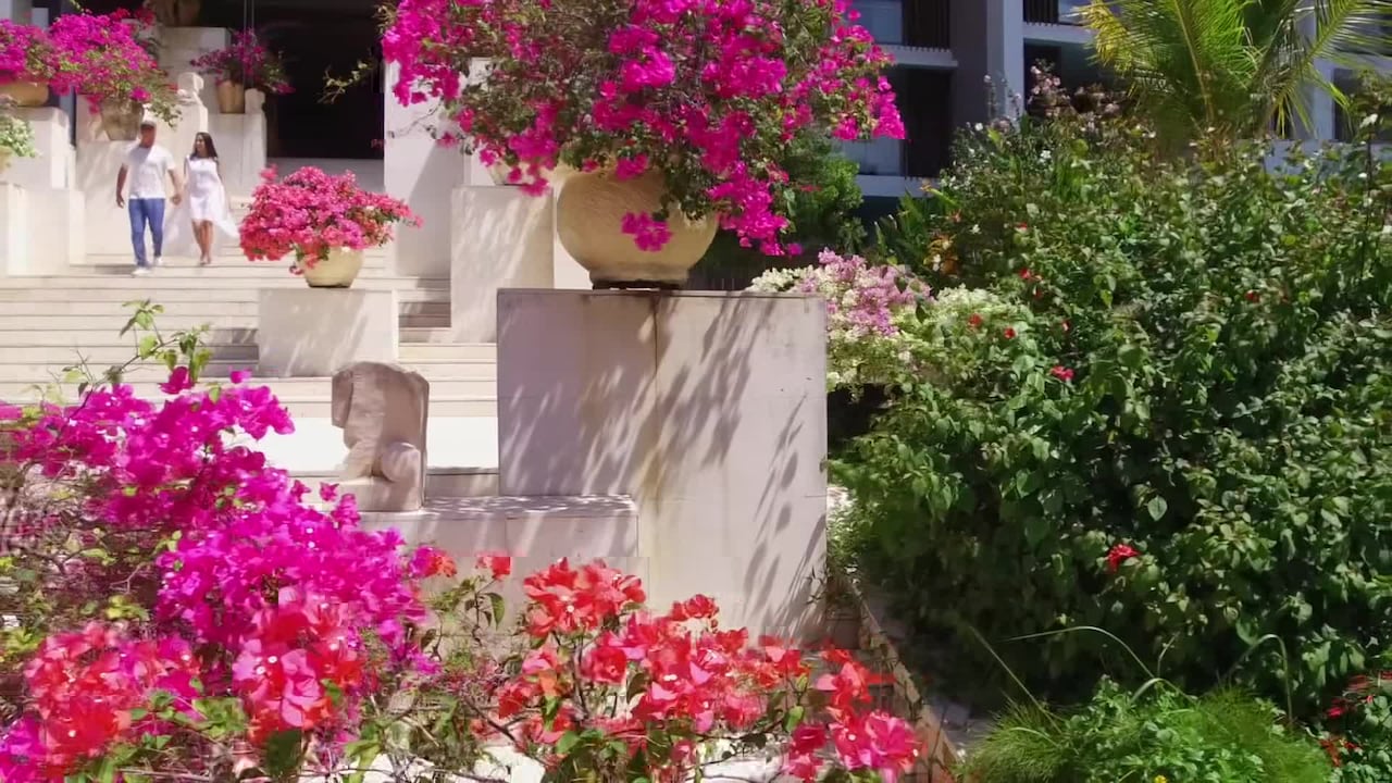 Property video