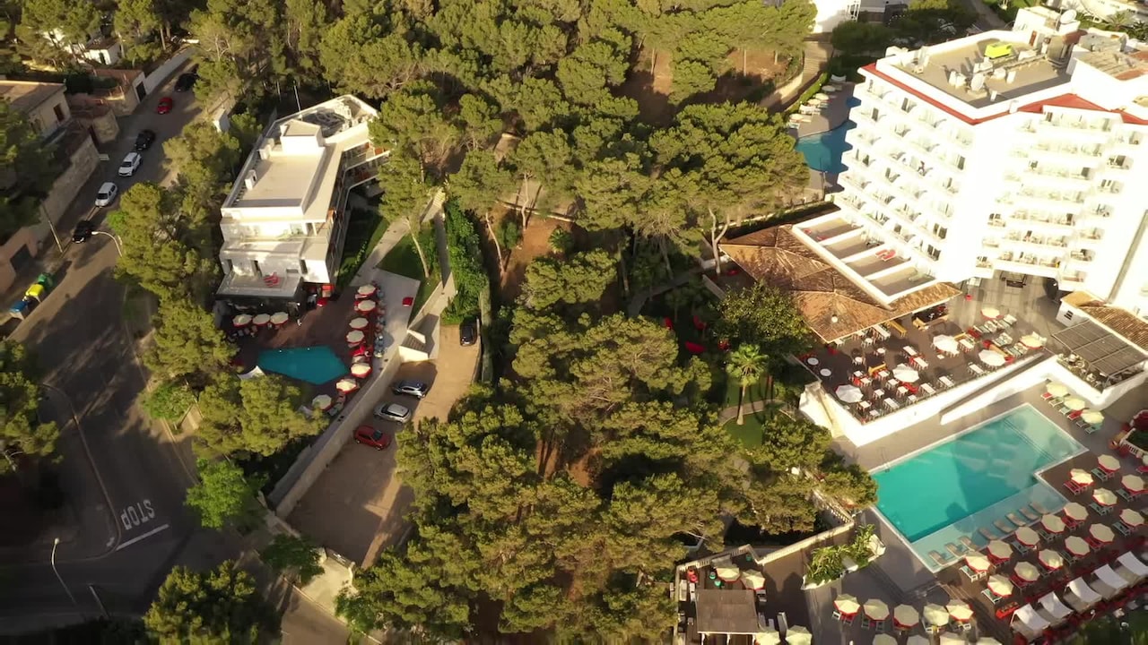 Property video