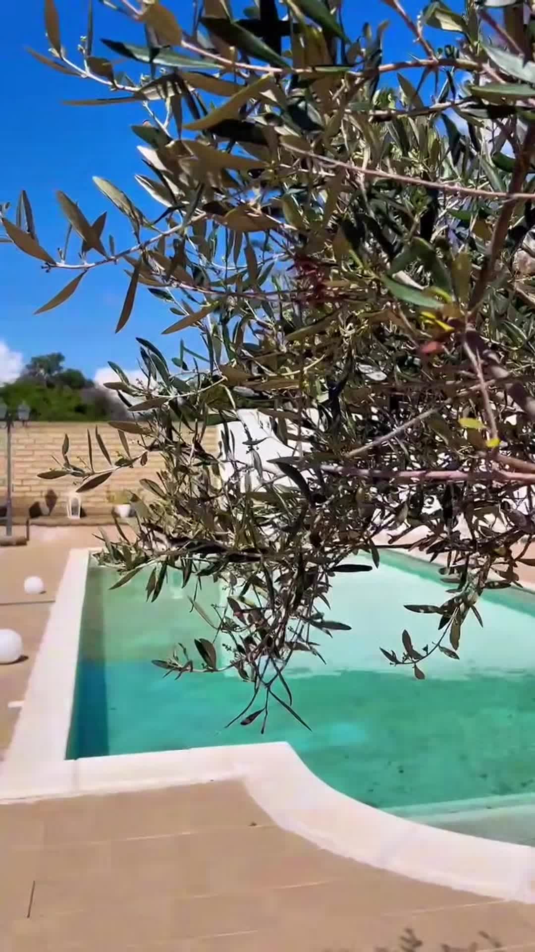 فيديو المنشأة الفندقية