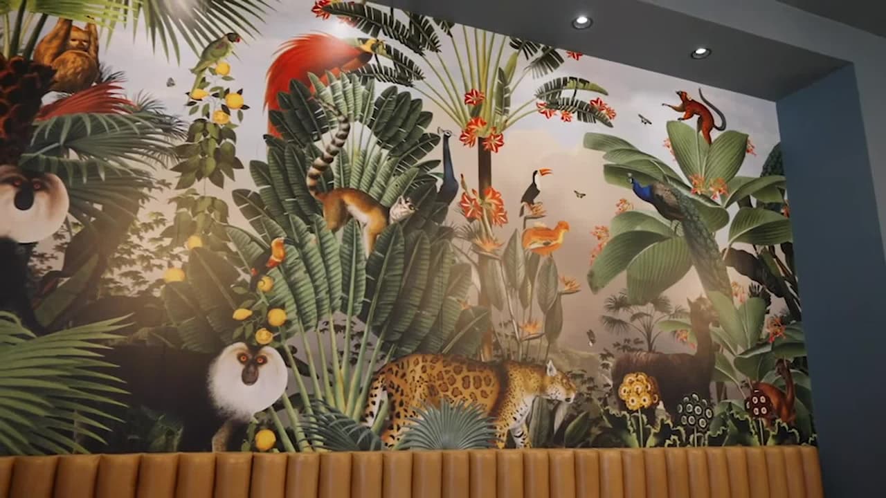 Video der Unterkunft