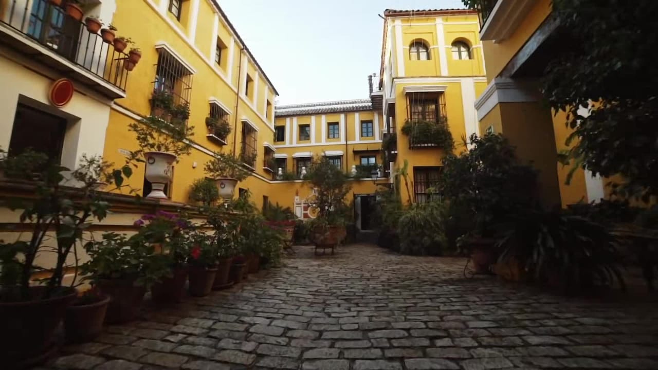 Property video