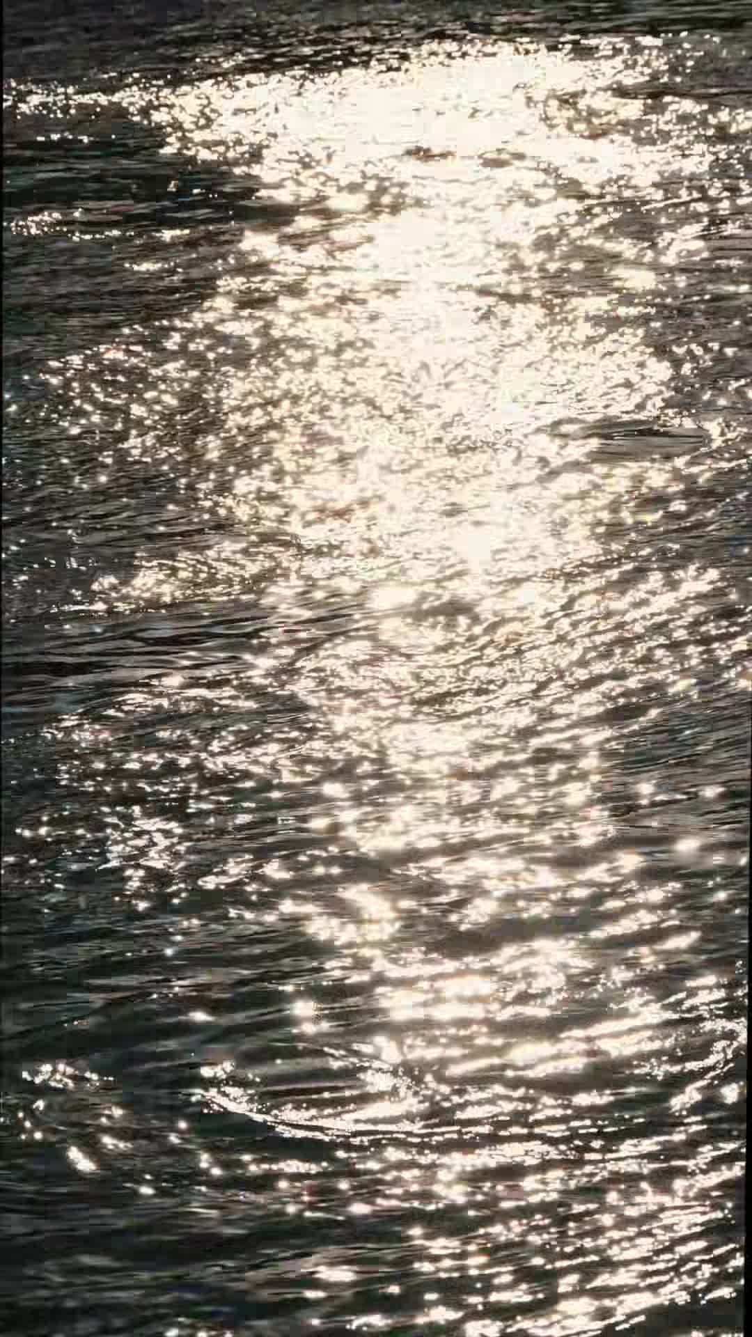 Video realizado por la propiedad