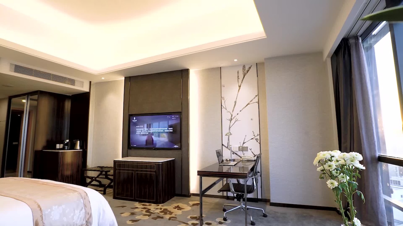 Property video