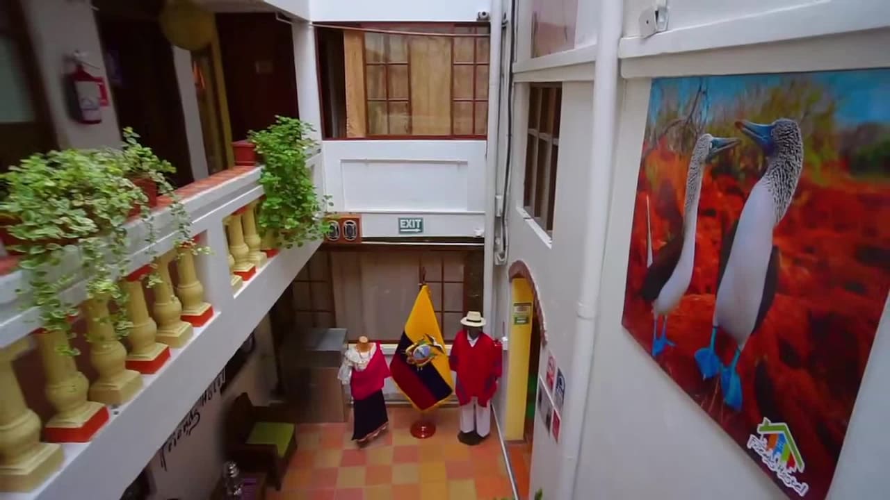 Property video