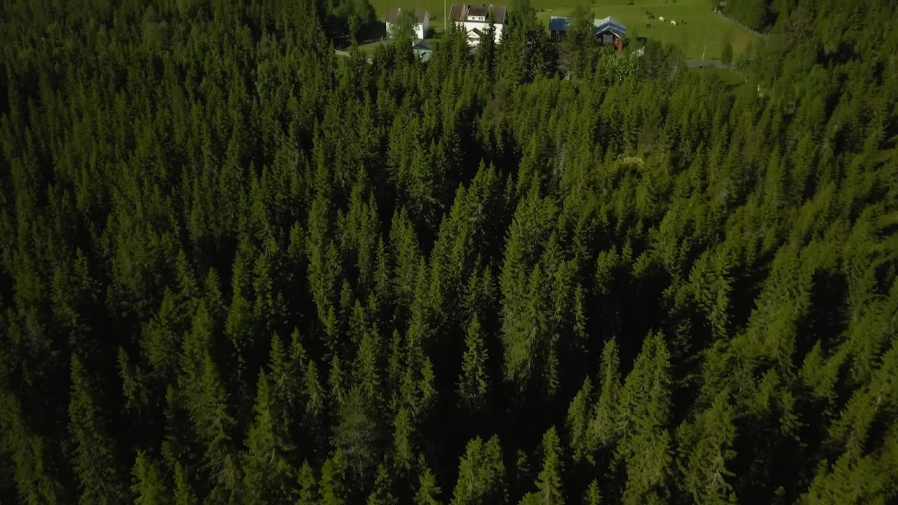Property video